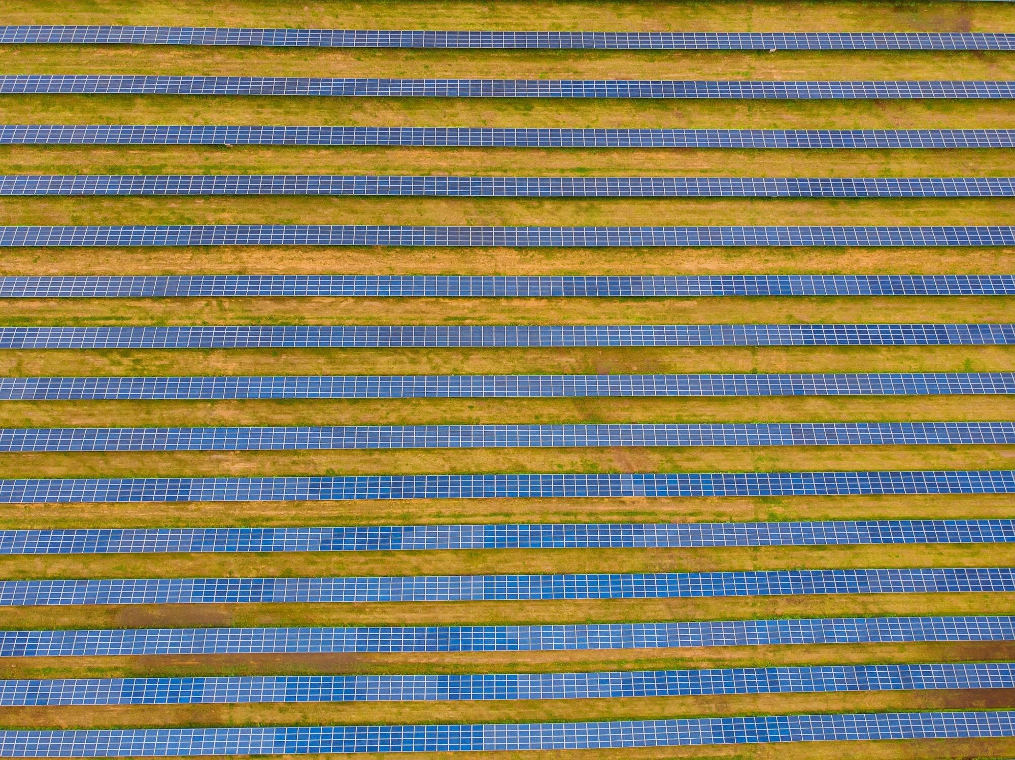 Perovskite Solar Research